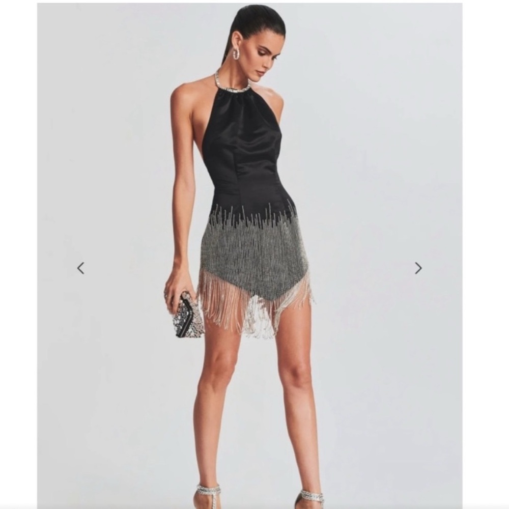 Retrofete Elegant Black and Silver Fringe Dress - Picture 8 of 16